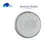 /product-detail/best-price-sodium-aluminium-sulfate-sulphate-water-treatment-aluminum-sulfate-60671928347.html
