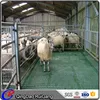 steel structure sheep goat shed