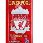 Wholesale China Factory Good Quality Microfiber Beach Towel for Travel