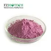 /product-detail/bulk-low-price-free-sample-dried-plum-powder-60236922543.html