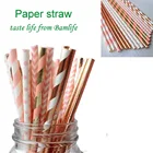 Rose Gold and Pink Biodegradable Drinking Paper Straws pack 25pcs