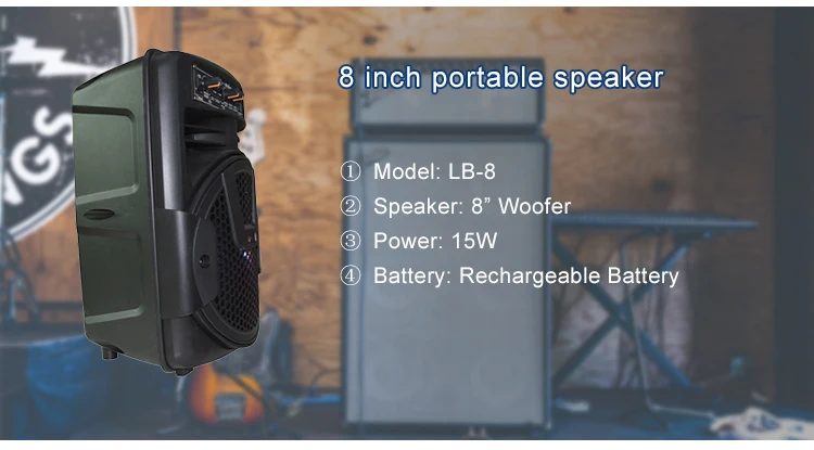Hoxen 8 Inch Speaker Portable Mini Speaker DJ Speaker System Subwoofer Sound Box With LED Light - ANKUX.COM