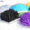 Dyed Top Quality Wholesale Ostrich Feather Trims Fringe Various Color Ostrich Feathers Trimming for Clothes Decoration