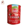 Delicious kitchen 3000g/can Flavorful tomato pizza ketchup paste sauce made in china