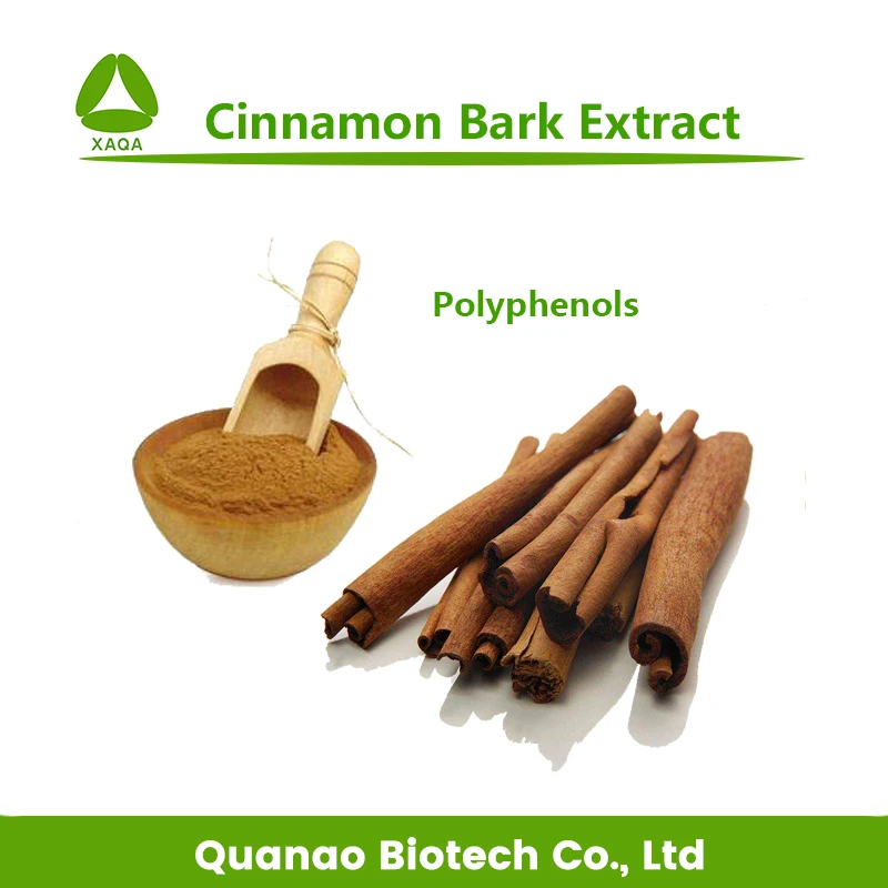 Lowest price Cinnamon Extract Cinnamon polyphenols 10% 20% 30% bulk price