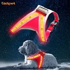 OEM Logo Led Reflective Dog Harness Vest for Night Safety Pet Safety Supply Light Up Adjustable Pet Clothes Harness