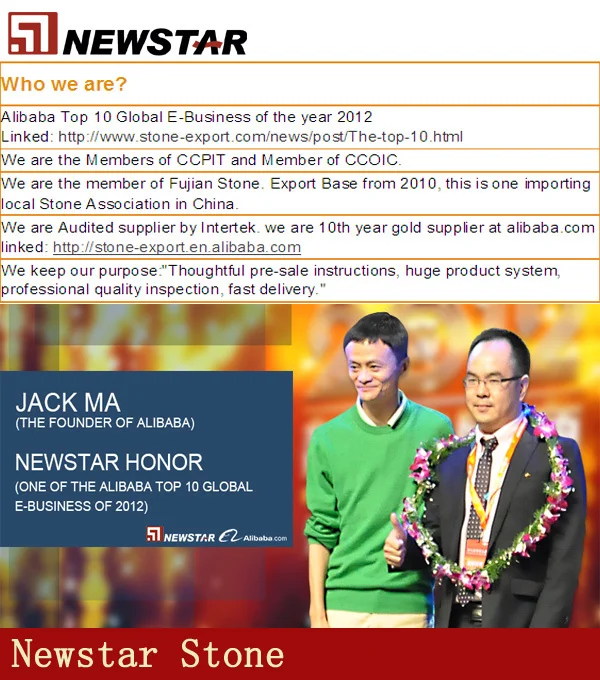 newstar company.jpg