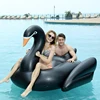 China suppliers inflatable water swan float for sale