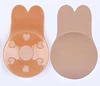 /product-detail/new-product-silicone-adhesive-rabbit-ear-lift-up-bra-62137838623.html