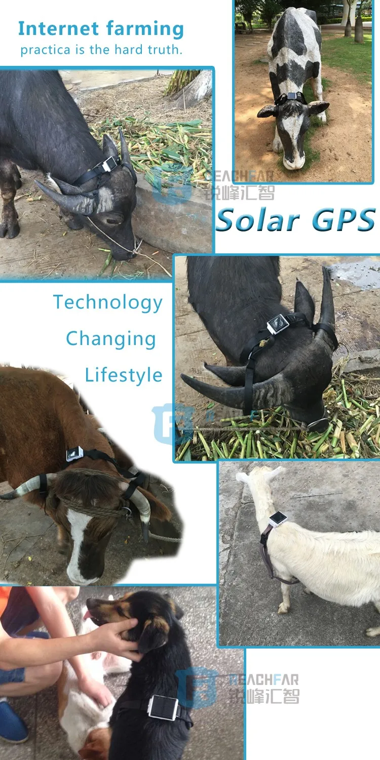 2016 worlds smallest cheap diy pet dog solar powered collars gps tracker for cow/sheep