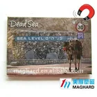 Iron Fridge Magnet Tourist souvenir Dead sea