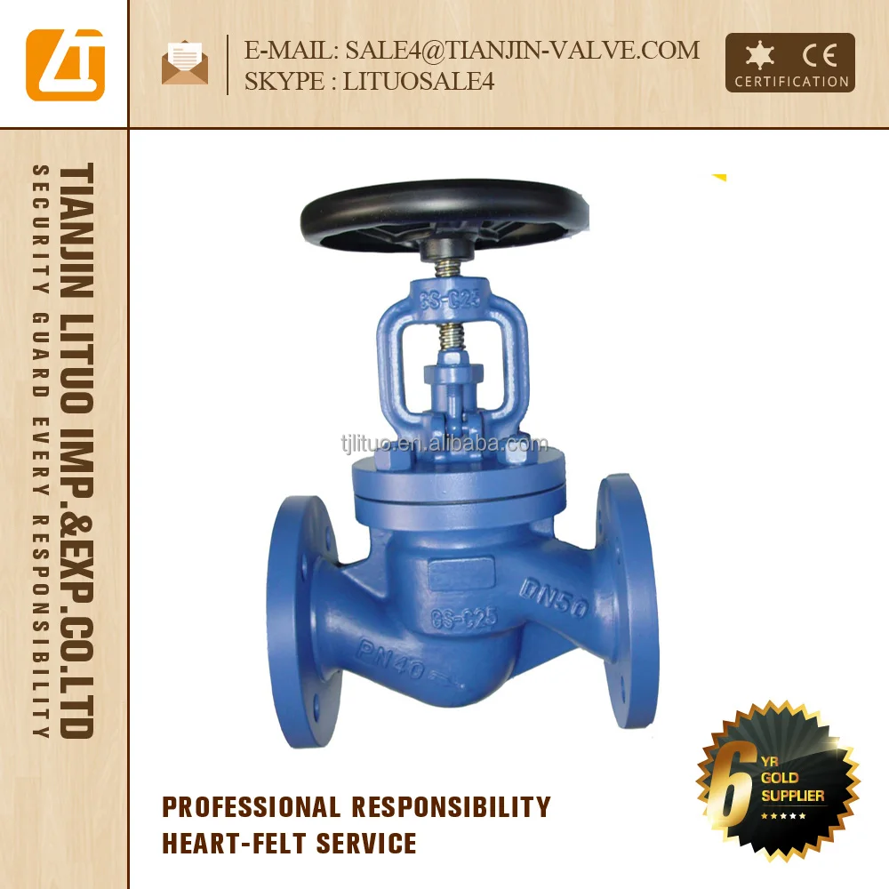 china iron globe valve