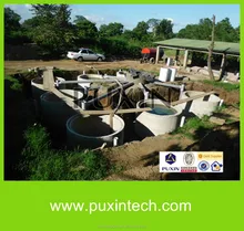 PUXIN easy construction 60 m3 waste to energy biogas power plants for poultry farm manure