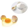 Food Best Selling Egg Yolk Powder egg yolk immunoglobulin