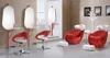 The newest set salon furniture ZY-2016D for sale