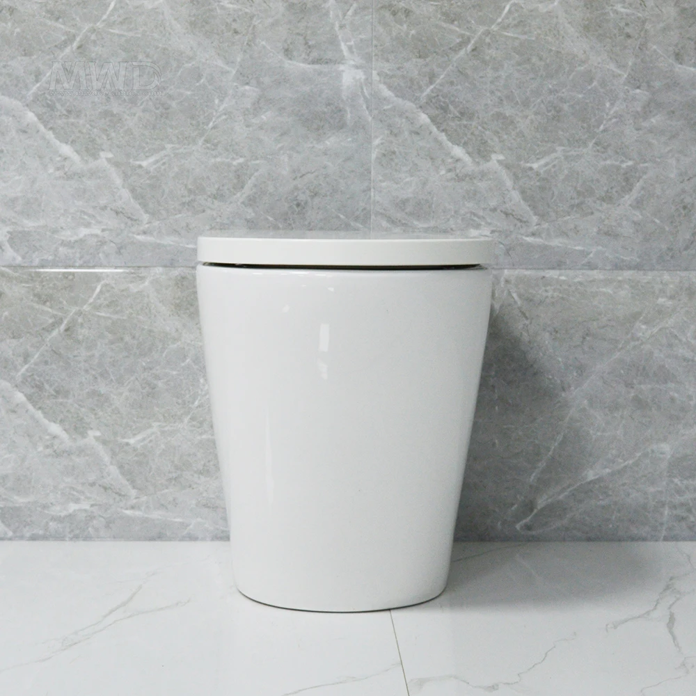 Watermark rimless back to wall floor mounted toilet  with close seat cover