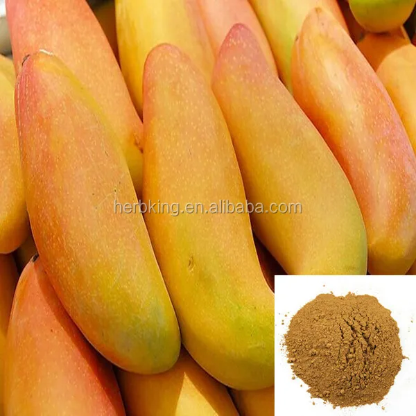 african mango seed extract mango p.e 5:1 10:1 20:1