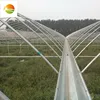[golden greenhouse supplier] greenhouse construction