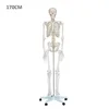 /product-detail/170cm-high-plastic-human-skeleton-60532955707.html