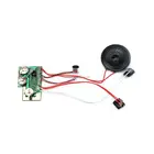 Customized recordable programmable usb sound module with IC chip