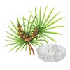 HONGDA Factory Supply Extract Palmetto Saw Saw Palmetto Extract 85%