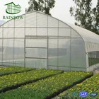 Long service time SIngle span plastic film agriculture production greenhouse