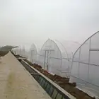 Hot Galvanized Steel Poly Tunnel Plastic Cucumber Greenhouse For Heavy Snow For Sale