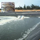 China low permeability hdpe pond liner fish farm pond liners indonesia for sale