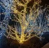 LED Christmas holiday time decorative lights for outdoor indoor decoration