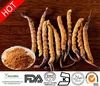 /product-detail/chinese-cordyceps-extract-cordyceps-extract-powder-best-cordyceps-on-the-market-50-1-mushroom-mycelium-extract-60190832848.html