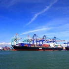 International Logistics Companies Sea Shipping Rates from China to USA Door to Door