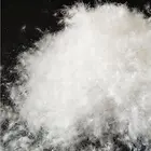 Washed white swan feathers duck down feather for sale