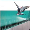 /product-detail/stainless-steel-304-plastic-uv-stabalized-base-10-spike-with-adhesive-glue-covers-1bird-x-plastic-polycarbonate-bird-spikes-60766911092.html