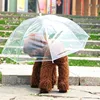 Factory Sale Quality assurance dog umbrella costume