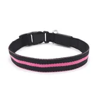 Christmas Waterproof Custom Rechargeable Pet Led Flashing Dog Collar