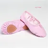 Wholesale ballet dance pointe shoes fashion nude ballet flats shoes for girls