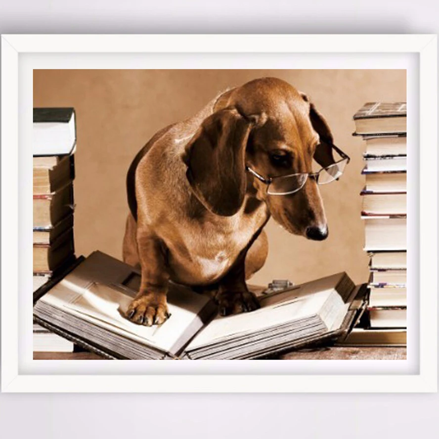 HTB1EslRSFXXXXaPXFXXq6xXFXXXEcv