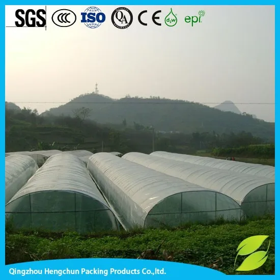 greenhouse film-047.jpg