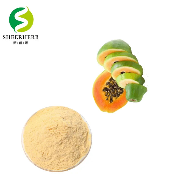 Fabrik produktion hohe standards papaya Fruchtsaftpulver raw trockenen papaya pulver