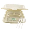 EcoNewLeaf 8 INCH Biodegradable Food Packing Lunch Box and Cutlery
