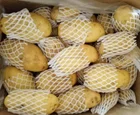 fresh new crop chinese potato with carton packing