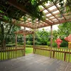/product-detail/wpc-outdoor-wooden-pergolas-514637347.html