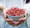 Shandong peanut exporter fresh peanuts price