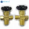 /product-detail/made-in-brass-nitrogen-oxygen-cylinder-air-valve-60774919724.html