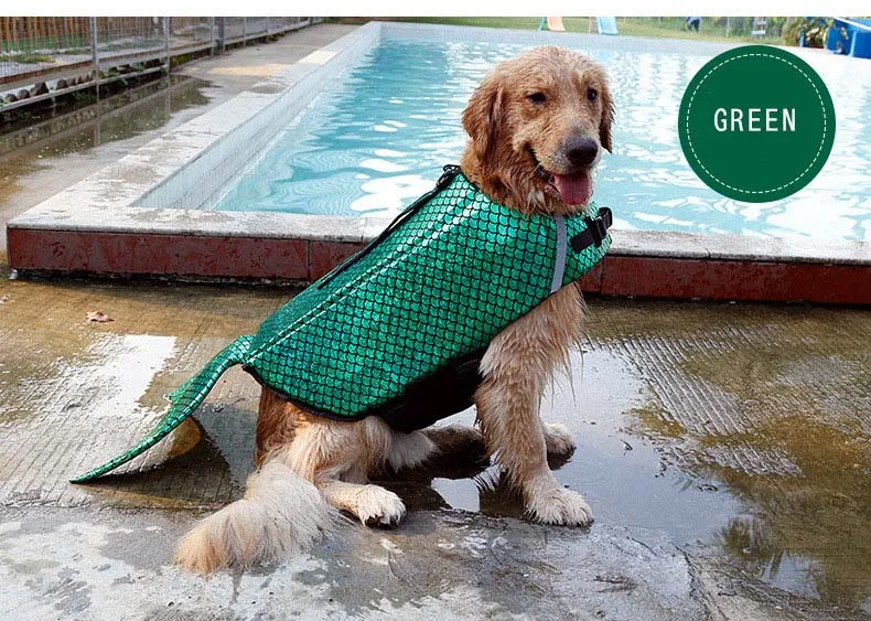 5968587097_1832331281