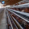 /product-detail/h-type-welded-one-old-day-broiler-chicks-rearing-cage-growing-broiler-60443140832.html