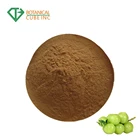 Amla Extract Powder Indian Gooseberry Amla Extract Powder