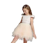 2 Year Old Girl Dress Summer Lace Short Sleeveless Tulle Angel Dresses For Kids