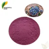 Wild freeze dried blue berries anthocyanin powder organic blueberry extract 25