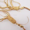 /product-detail/1005-ren-shen-improving-immunity-chinese-herbs-wild-ginseng-root-60678894509.html